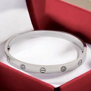 Stainless Steel Bangle Bracelet With Stones Platinum Plating